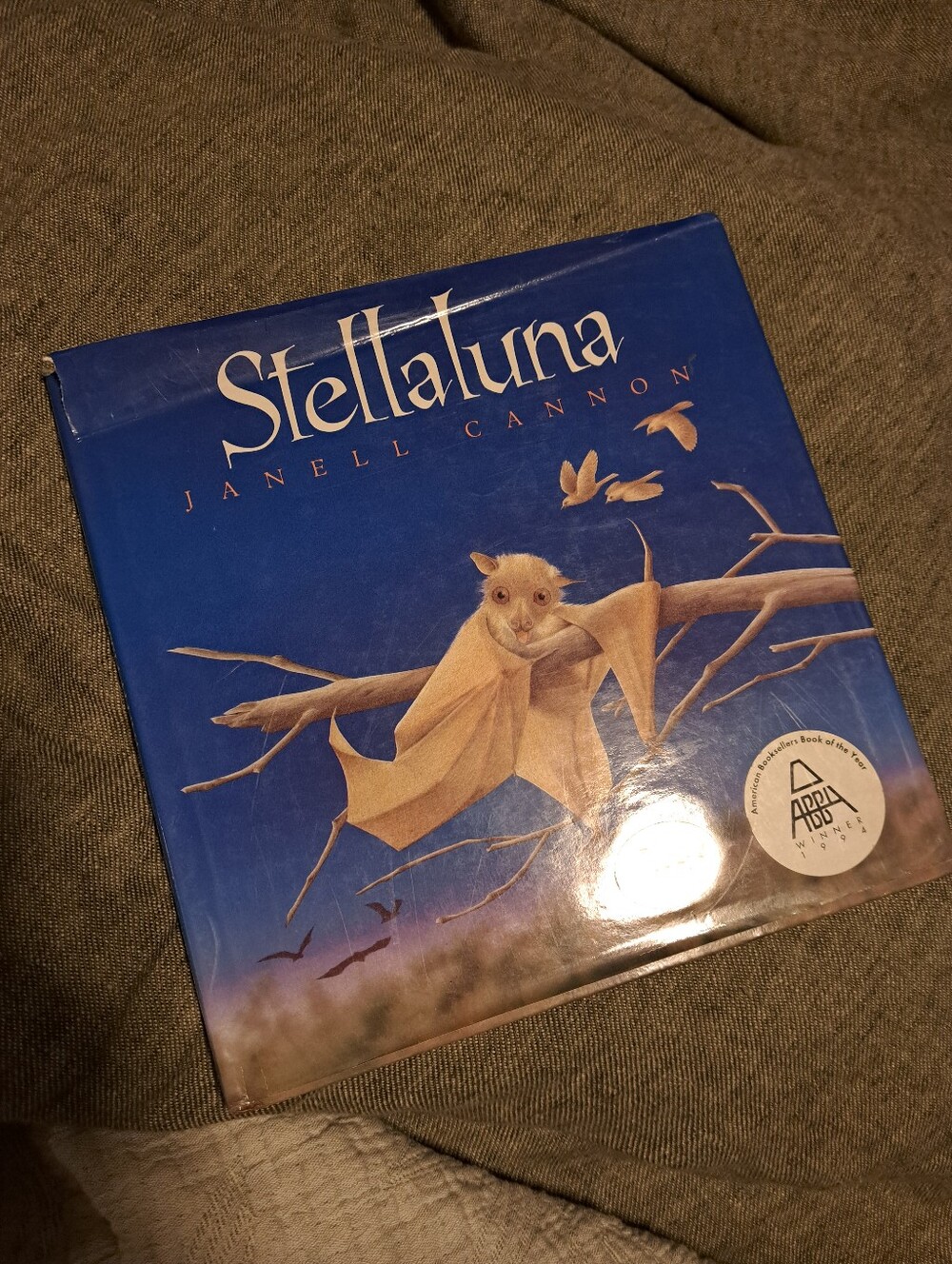 Stellaluna Children’s Book